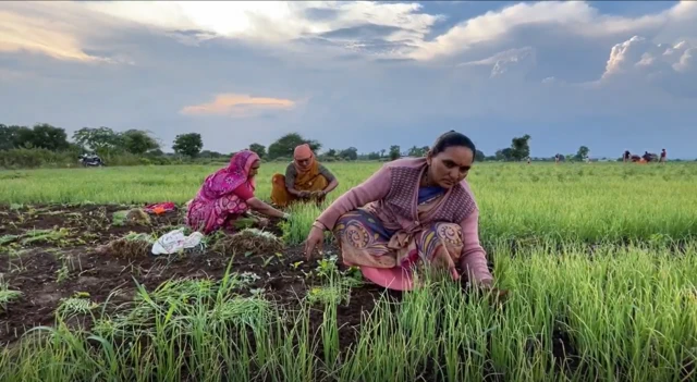 महिला कांदा शेतकरी 