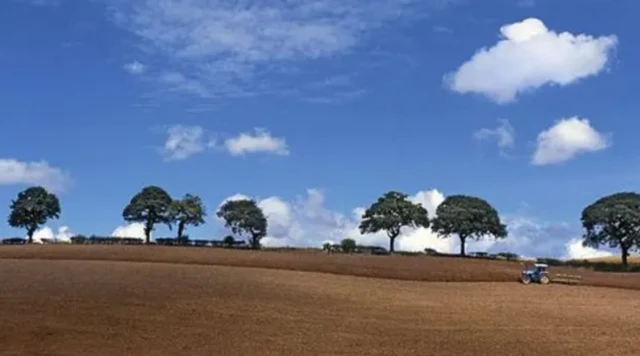 ਕਲਾਉਡ ਸੀਡਿੰਗ