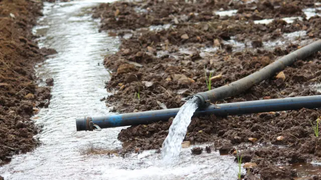 తెలంగాణ