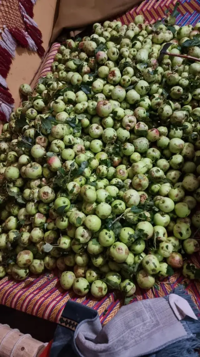 ژالہ باری