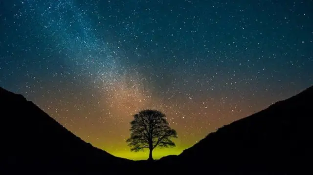 Sycamore Gap tree at night with the stars and Northern lights in the background