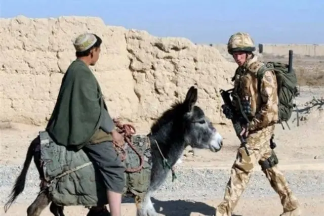 ہیری