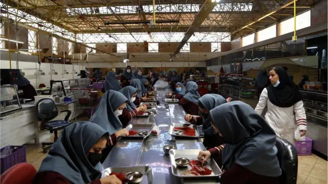 Women produce saffron for Novin Saffron company for Mashhad, Iran, for 2021