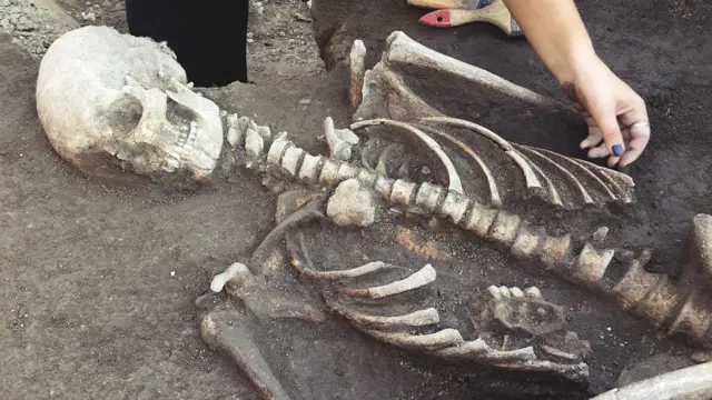 అస్థిపంజరం