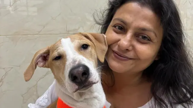 બીબીસી ગુજરાતી, ગુજરાત, બીબીસી, બિલાડી, પ્રાણી, કોર્ટ, પ્રાણી અધિકાર