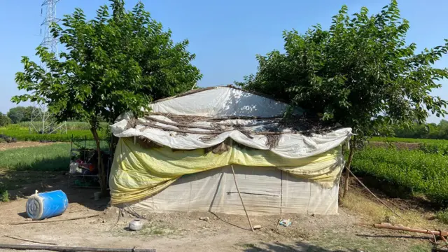 भाऊ निवदे यांच्या शेतातील शेड