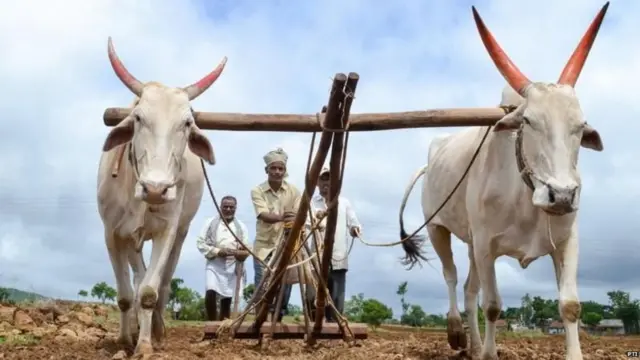 प्रातिनिधिक फोटो
