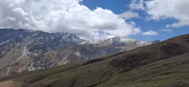 यार्सागुम्बा डोल्पा