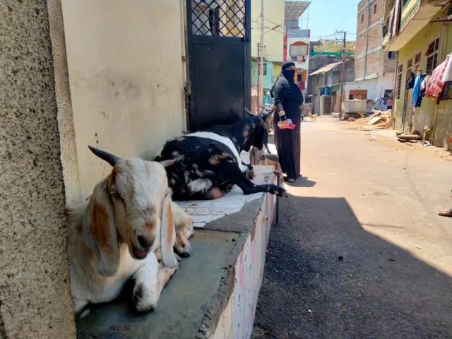 ઘટના બાદથી પહેલવાન મહોલ્લામાં સન્નાટો છવાયેલો છે