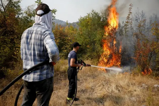 požari u crnoj gori