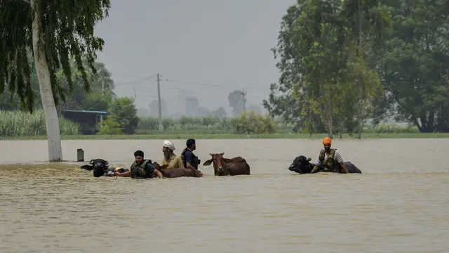 ਪੰਜਾਬ ਹੜ੍ਹ