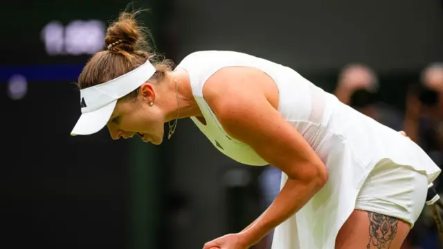 एलिना स्वितोलिना