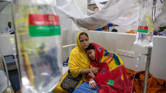 বাংলাদেশে প্রতিবছর মশাবাহিত রোগে আক্রান্ত হয়ে হাসপাতালে ভর্তি হন অনেকে