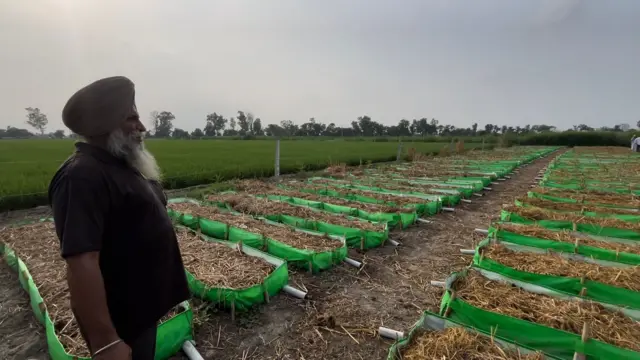 ਗੰਡੋਇਆਂ ਦੀ ਖਾਦ