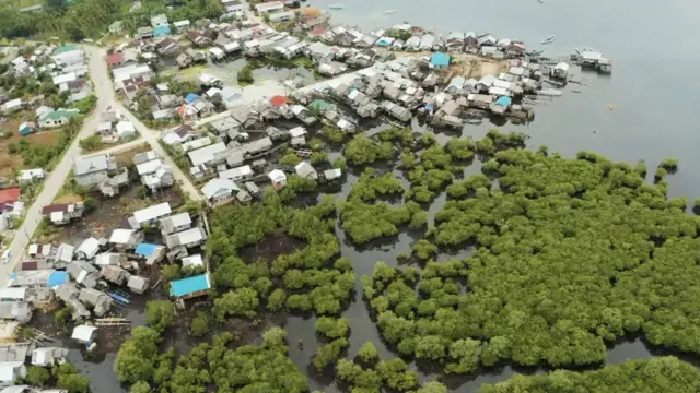 Mangrov ormanları, su yükselmesi kaynaklı erozyona karşı koruma sağlıyor. Görüntü Filipinler'den...