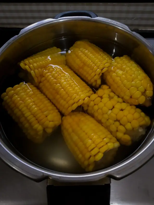 ਪ੍ਰੈਸ਼ਰ ਕੁੱਕਰ