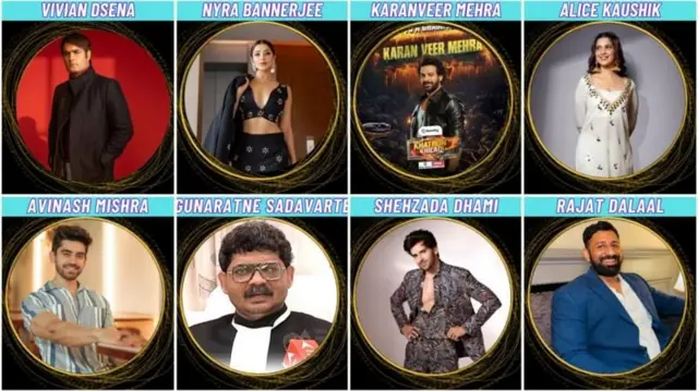 हिंदी बिग बॉसमध्ये सहभागी झालेले स्पर्धक