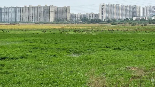 பள்ளிக்கரணை, தமிழ்நாடு மாநில ஈரநில ஆணையம், ராம்சார் தளம், சென்னை