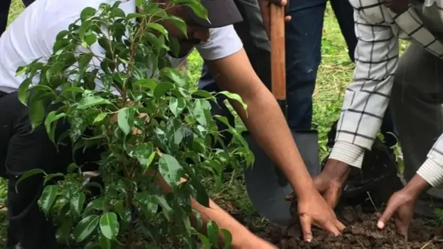 Chizmalardagi jinsiy pozitsiyalar