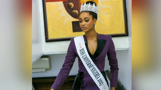 Ugochi Mitchel Ihezue