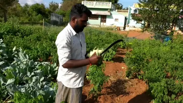 யூட்யூப் பார்த்து ராமநாதபுரத்தில் காபிஃப்ளவர் சாகுபடி செய்த இளைஞர் 