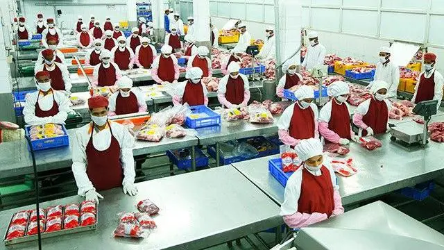 ఫెయిర్‌ ఎక్స్‌పోర్ట్స్‌ ఇండియా ప్రైవేట్‌ లిమిటెడ్‌ 