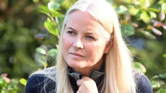 జెఫ్రీ ఎప్‌స్టీన్,  అమెరికన్ జస్టిస్ డిపాార్ట్‌మెంట్, నార్వే  యువరాణి, రాజ కుటుంబం