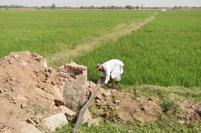 ખેતી, જમીન, સુધારો, ગુજરાત સરકાર, બીબીસી ગુજરાતી, ગુજરાતી, ગુજરાતમાં ખેતી, ખેતની જમીન