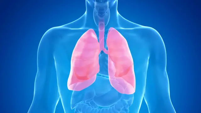 प्रातिनिधिक फोटो