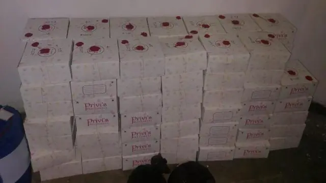 ફ્લૅટમાં ગાંજાની ખેતી