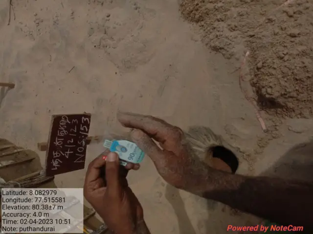 கடல் ஆமைகள் குஞ்சு பொரித்தல்