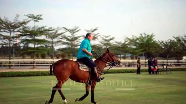 الملك الجديد لاعب دولي للبولو