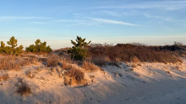 ਲੌਂਗ ਆਈਲੈਂਡ ਦੇ ਓਸ਼ੀਅਨ ਪਾਰਕਵੇਅ ਦੇ ਨਾਲ-ਨਾਲ ਬੀਚਾਂ