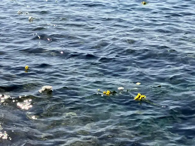 ንዝኽሪ ግዳያት ናብ ባሕሪ ዝተደርበየ ዕንበባ