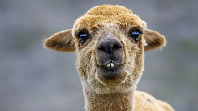 मित्रांना मिळालेल्या यशात आपला आनंद मानल्याने मैत्री अधिक सुदृढ होते. 