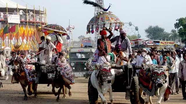 તરણેતરના મેળામાં આયોજિત બળદગાડા દોડની સ્પર્ધા 