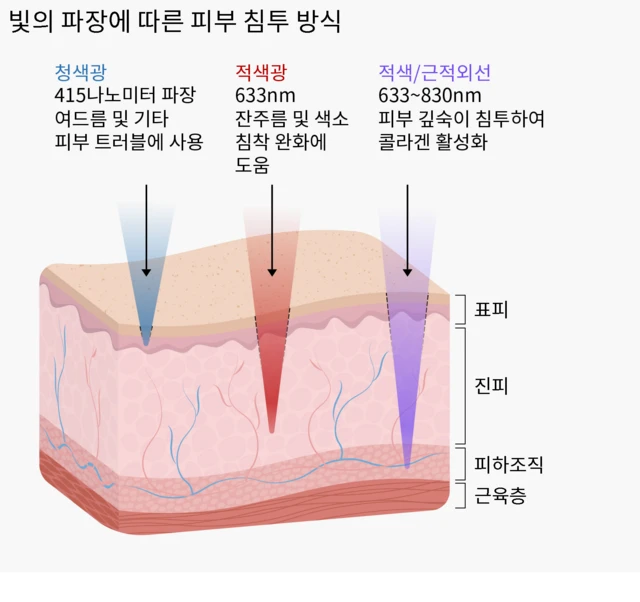 서로 다른 파장의 빛이 피부를 어떻게 투과하는지를 보여주는 일러스트 그래픽. 415나노미터의 블루라이트는 표피로 불리는 피부의 표면층까지 도달하며, 여드름과 기타 일부 피부 질환에 사용되는 것으로 설명돼 있다. 633나노미터의 적색광은 진피로 알려진 보다 깊은 층까지 침투하며, 잔주름과 색소 침착을 줄일 가능성이 있는 것으로 표시돼 있다. 633~830나노미터 사이의 적색광 및 근적외선은 피부 아래의 피하층까지 도달해, 더 깊은 조직에 작용하고 콜라겐 생성을 촉진할 잠재력이 있는 것으로 설명돼 있다.