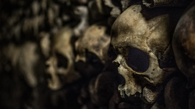 அருங்காட்சியகங்கள் பின்னால் இருக்கும் மோசமான வரலாறு