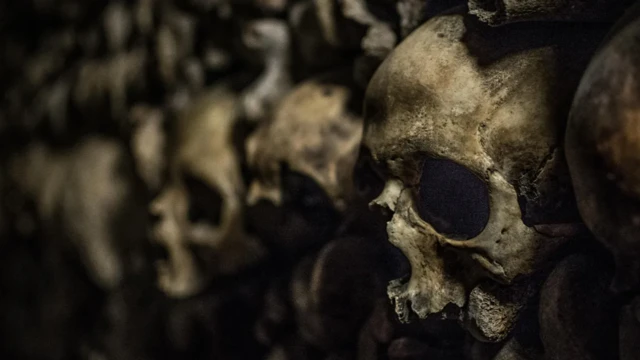 அருங்காட்சியகங்கள் பின்னால் இருக்கும் மோசமான வரலாறு