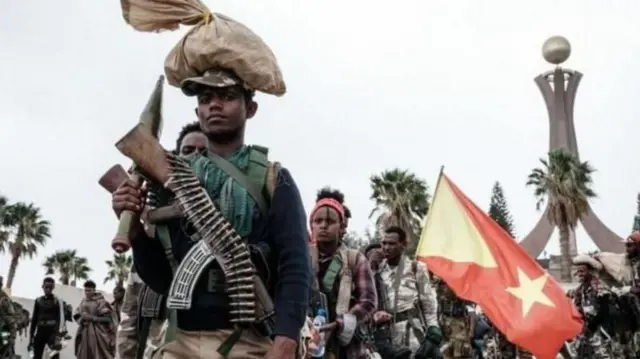 የትግራይ ኃይሎች