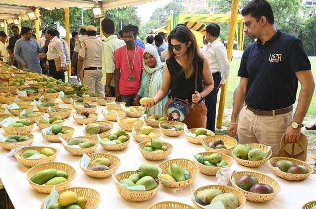 ਅੰਬਾਂ ਦਾ ਤਿਉਹਾਰ