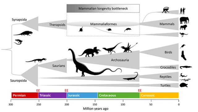 แผนภาพสัตว์ดึกดำบรรพ์ 