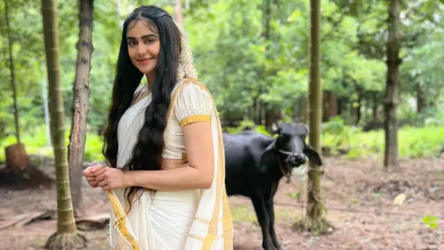 கேரளா, முஸ்லிம், திரைப்படம்