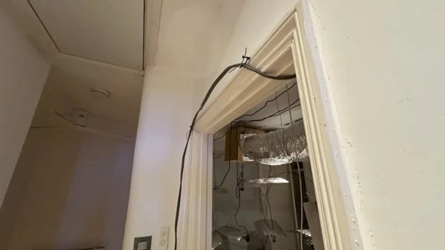 Các tên tội phạm đánh lừa công tơ điện khi nối lại hệ thống điện của khu nhà để lấy cắp điện cho trang trại cần sa ngốn nhiều năng lượng của chúng