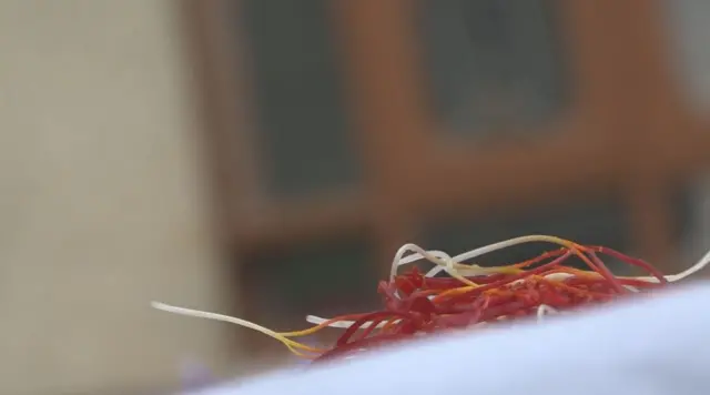 कश्मीरी केसर