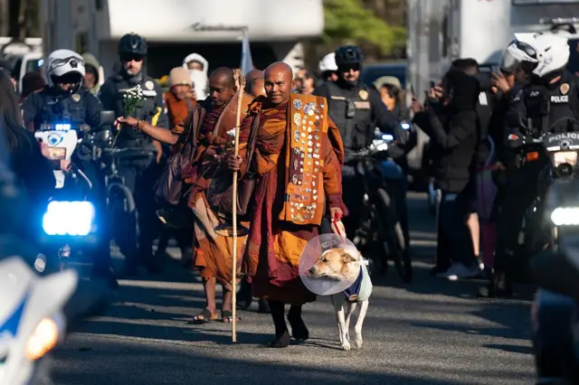 Chú chó Aloka đi cùng đoàn bộ hành tại thành phố Charlotte, North Carolina vào ngày 15/1/2026
