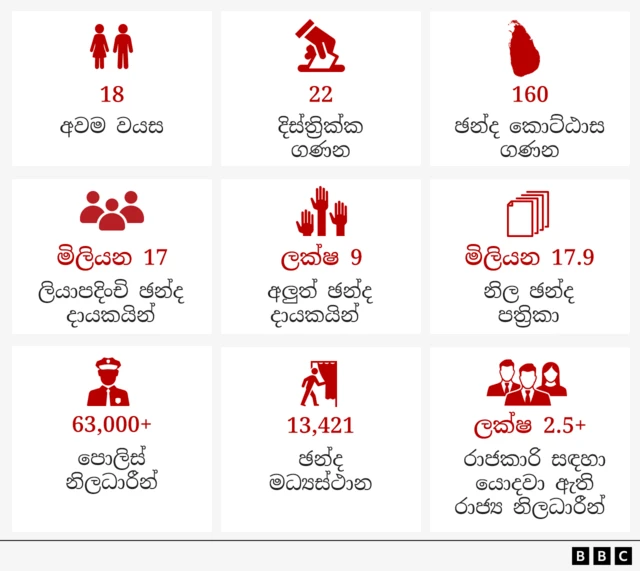 Election Demographics