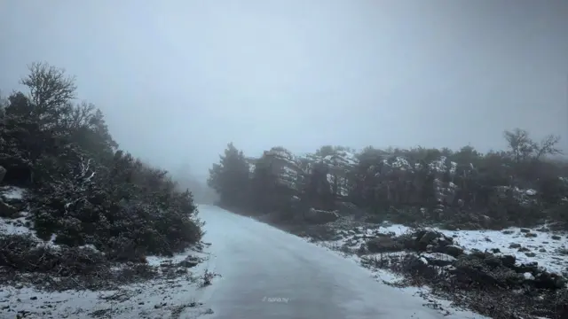 الثلوج تغطي الطرق والغابات في سوريا ولبنان