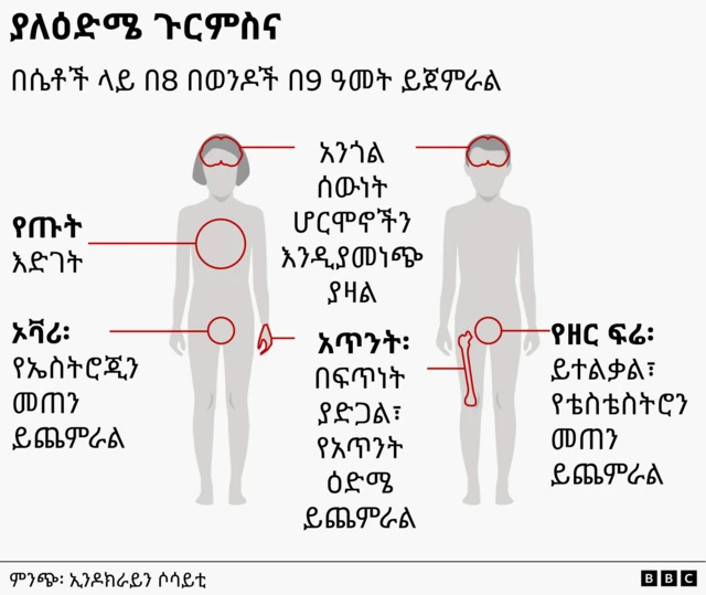 ያለ ዕድሜ ጉርምስና በአካል ላይ የሚያስከትለውን ለውጥ የሚያሳይ ሥዕል