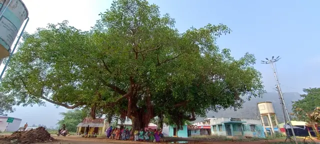 ગામની તસવીર